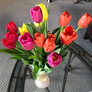 Meet your Posher, Cheryl